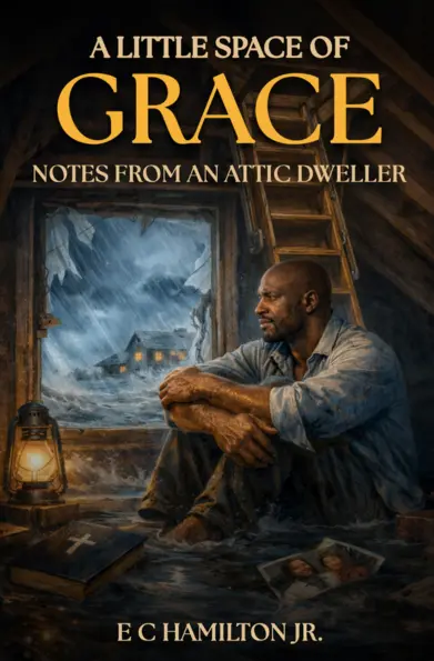 Book Cover 2